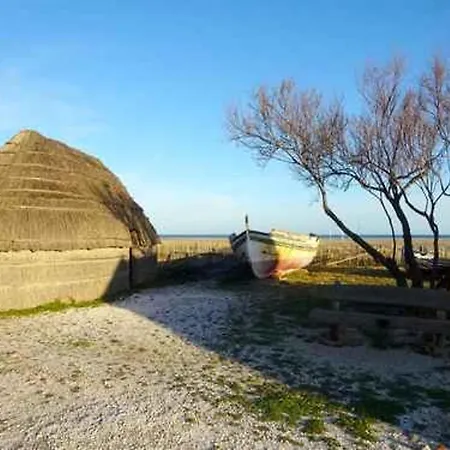 Climatisee 4 Pieces Avec Piscine, Terrasse, Proche Et Commerces - - Fr-1-782-10 * Le Barcarès